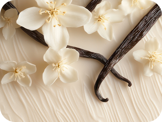 Vanilla pods and white blossoms, warm base note
